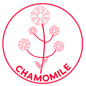 chamomile Skincare ingredients | Ambigoose Skincare for Sensitive Soothing Dry Skin Calm Sooth Renew Strengthen Brighten Liss 